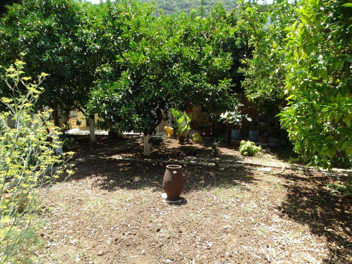The Grapevine Rooms Poros  Ngoại thất bức ảnh
